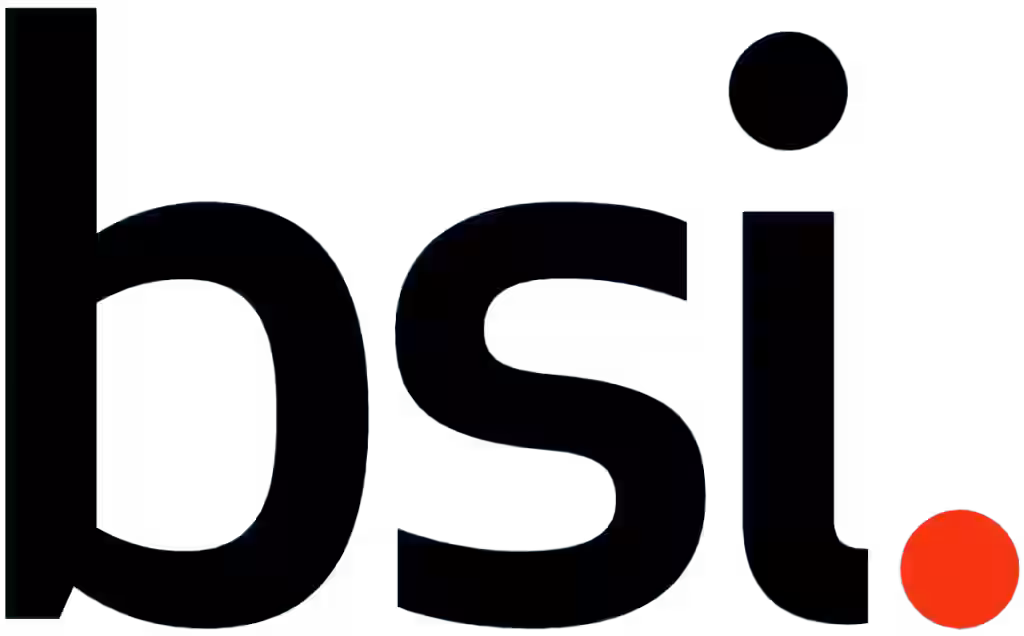 BSI Logo